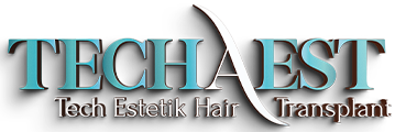 Techaest - Tech Estetik Logo